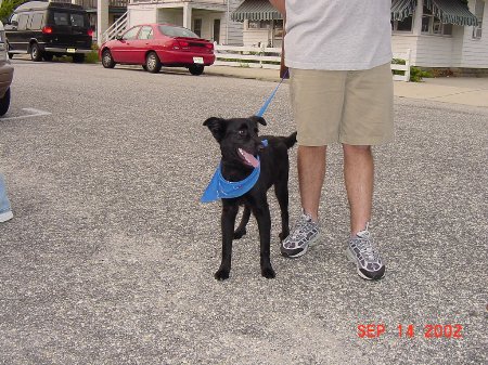 DSC00062jpg.JPG