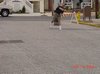 DSC00037jpg.JPG